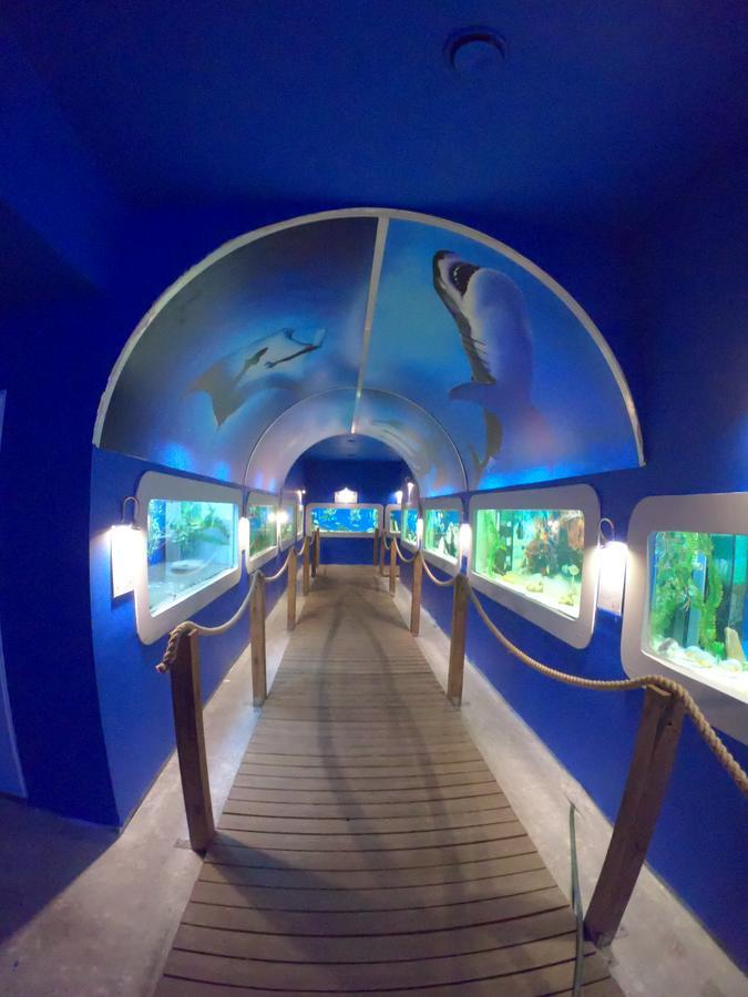 Bed and Breakfast Dolphin House Леба Екстер'єр фото
