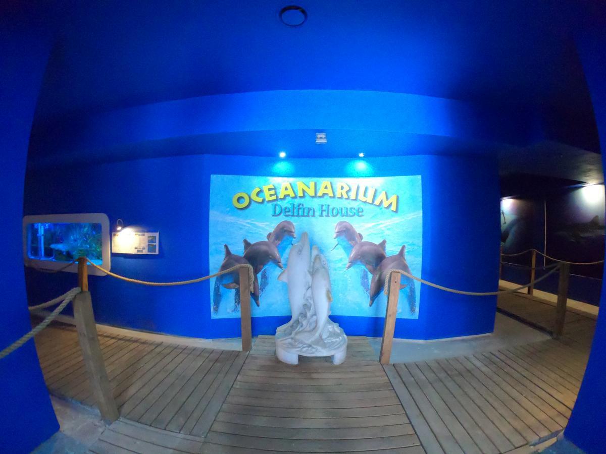Bed and Breakfast Dolphin House Леба Екстер'єр фото
