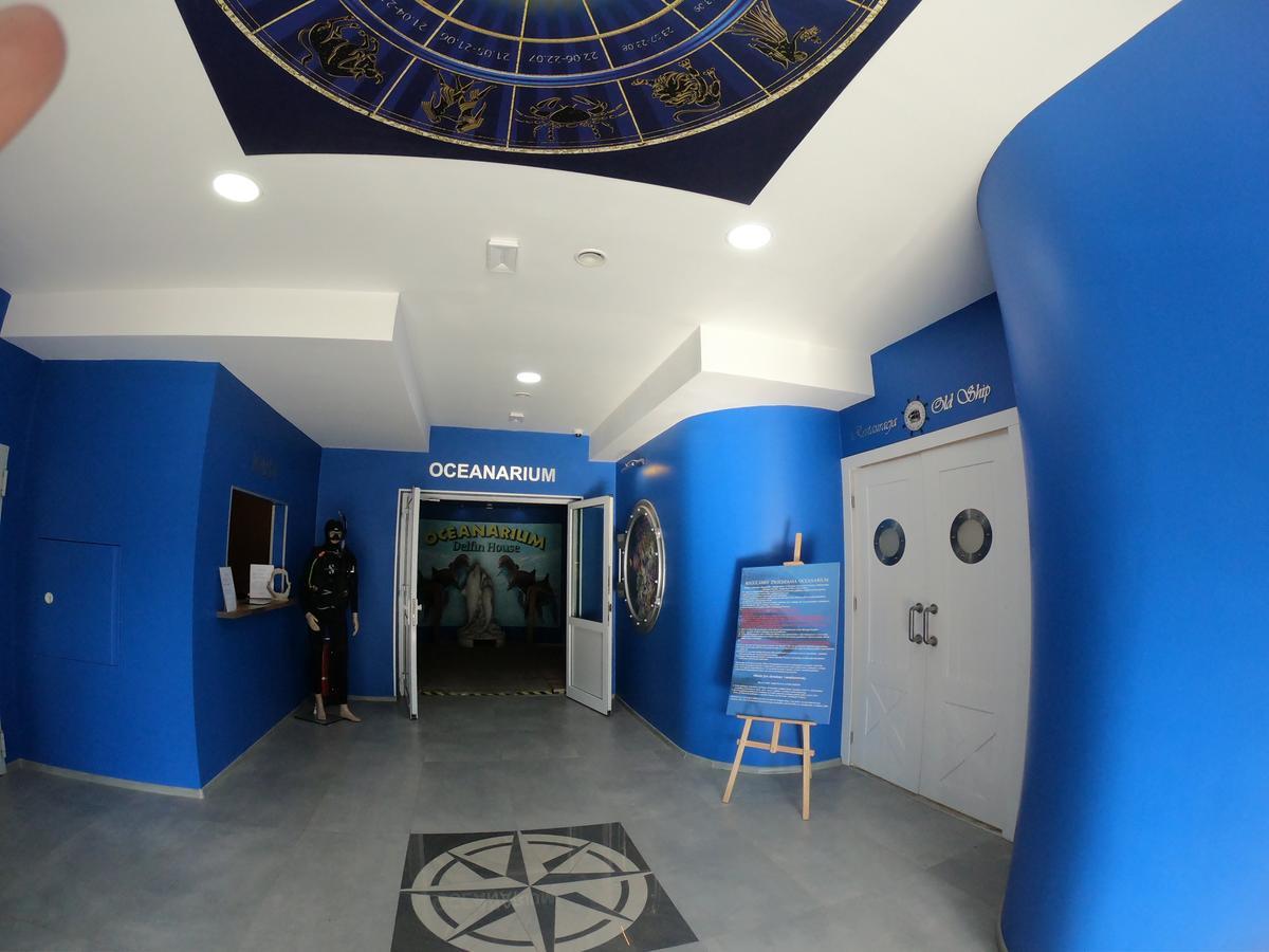 Bed and Breakfast Dolphin House Леба Екстер'єр фото